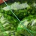 芜湖椒10~15厘米青微辣基地直供保证货源新鲜