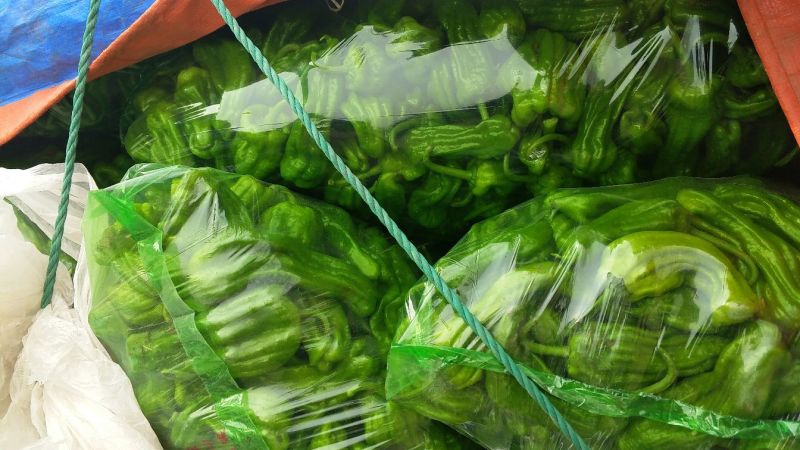 芜湖椒10~15厘米青微辣基地直供保证货源新鲜