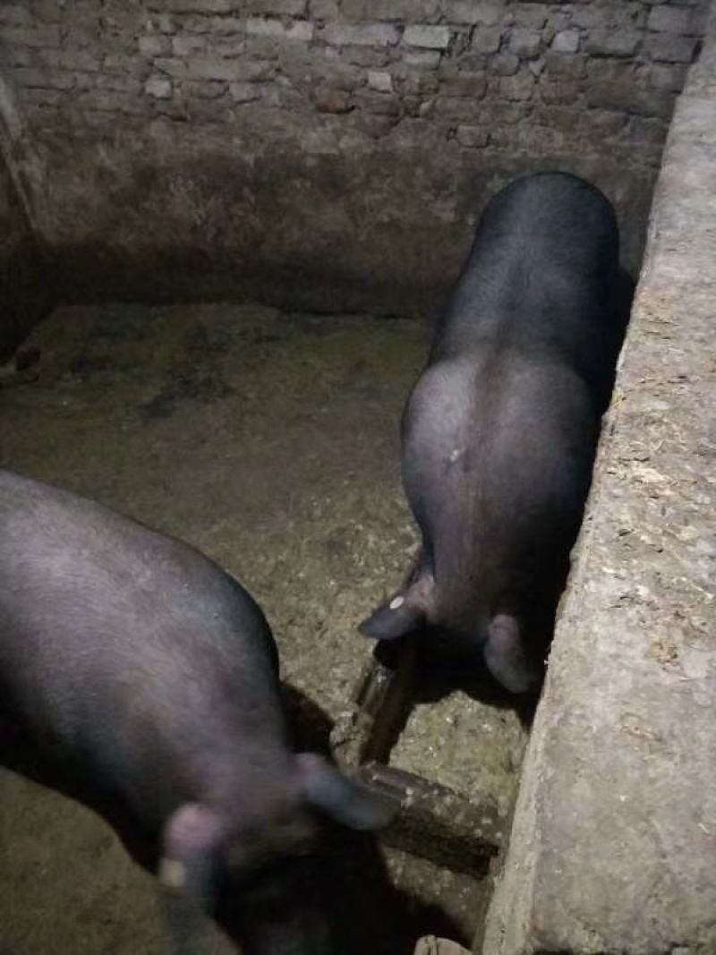 腊肉