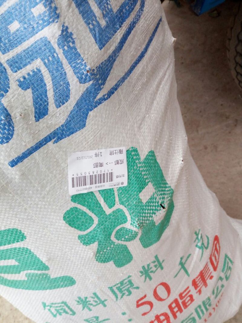 覆盆子苗海尔特滋品种经典品种