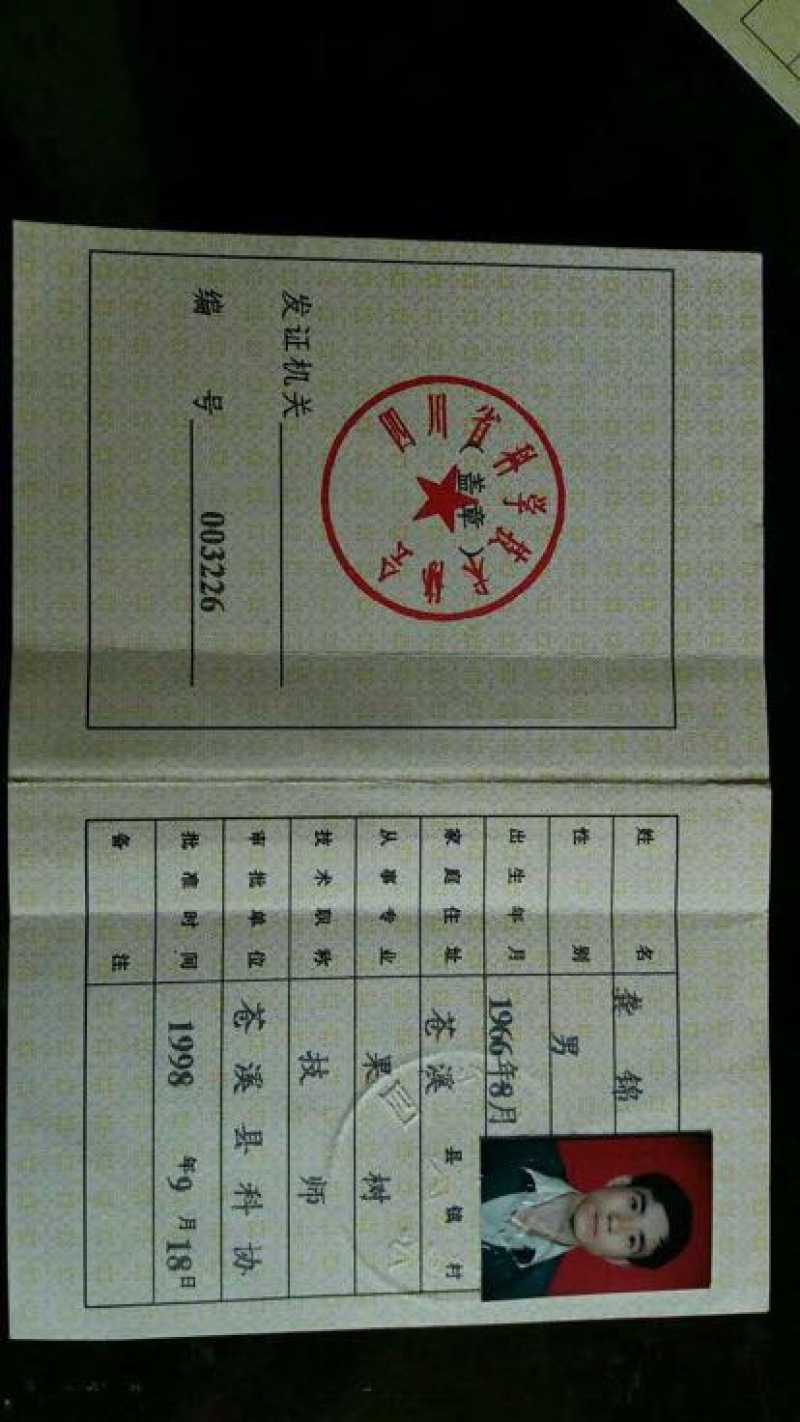 【有好货】蜂糖李子苗贵州镇宁县．正宗原产地接穂嫁接苗