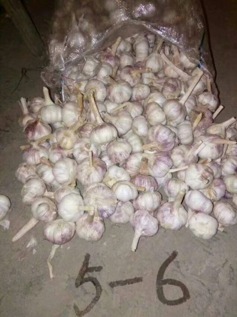 金乡大蒜混级通货干蒜