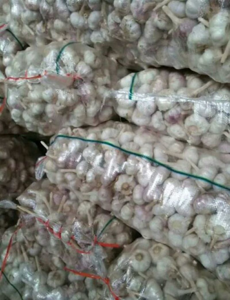 金乡大蒜混级通货干蒜