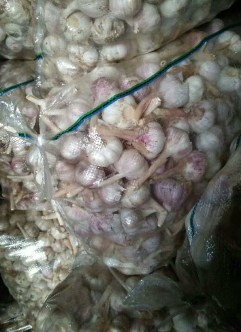 金乡大蒜混级通货干蒜