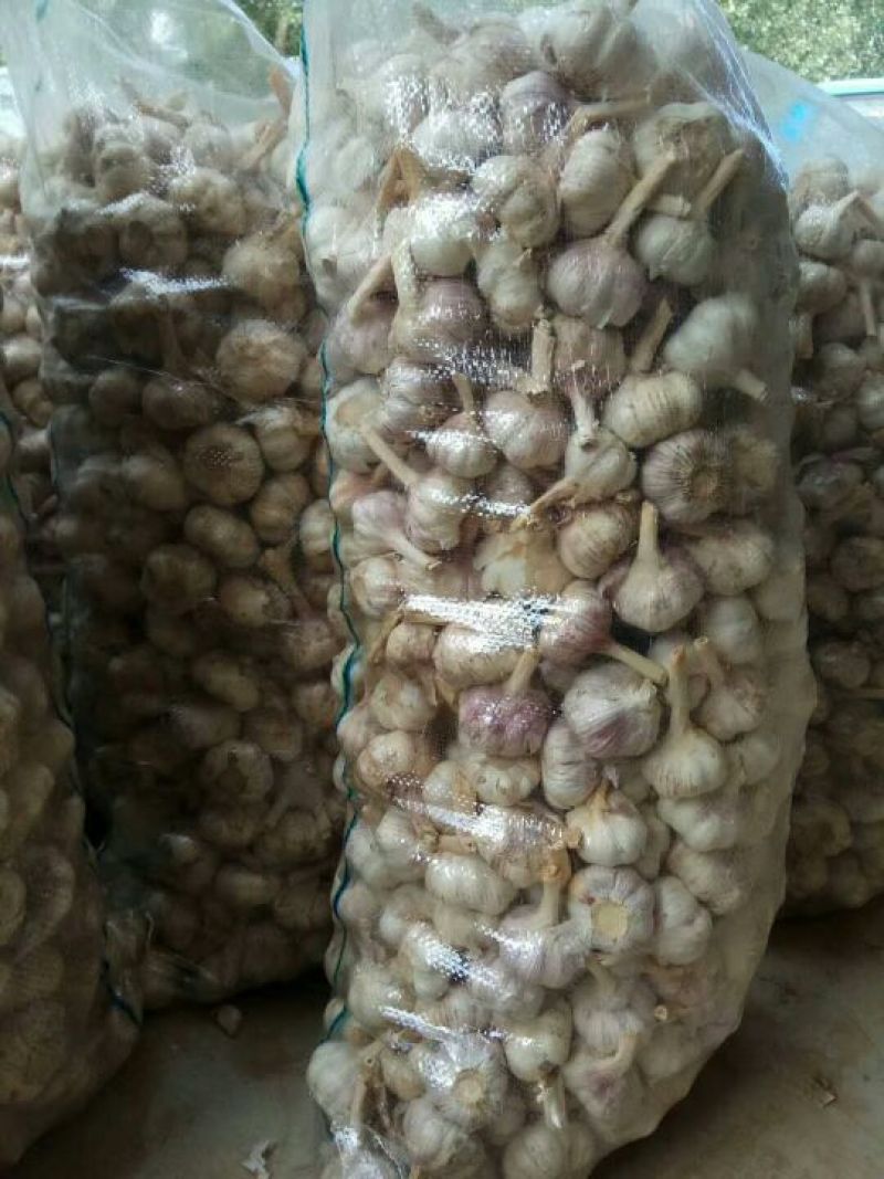 金乡大蒜混级通货干蒜