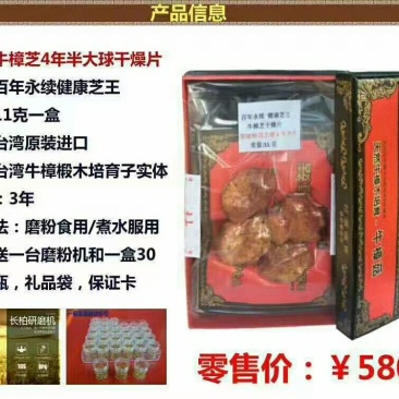 牛樟菇