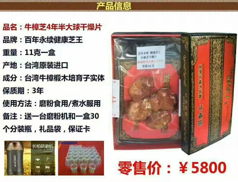 牛樟菇