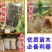 育苗袋,厂家直销,质量保证,全国发货,欢迎来电