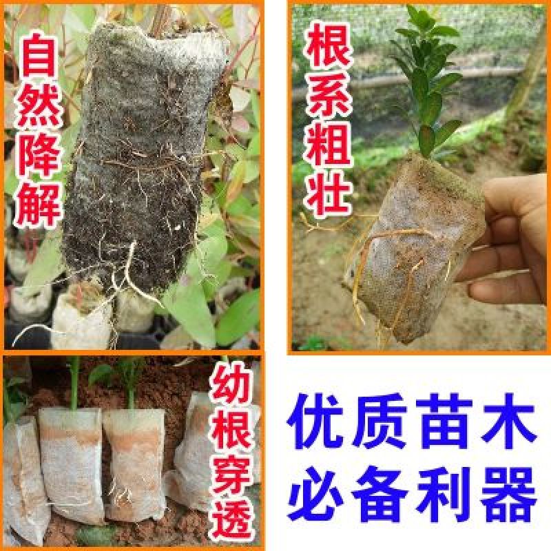 育苗袋，厂家直销，质量保证，全国发货，欢迎来电