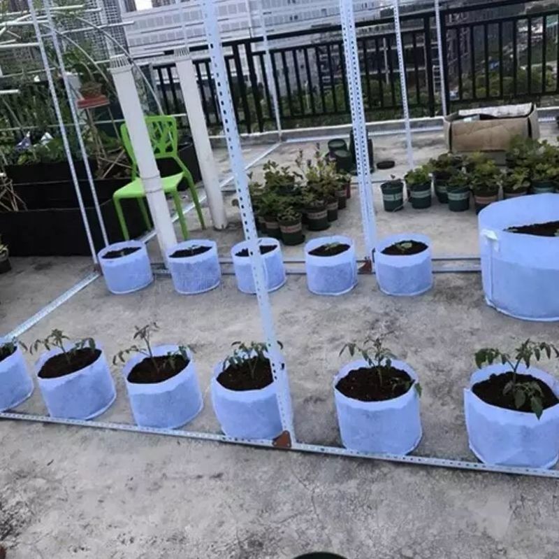 育苗袋，厂家直销，质量保证，全国发货，欢迎来电