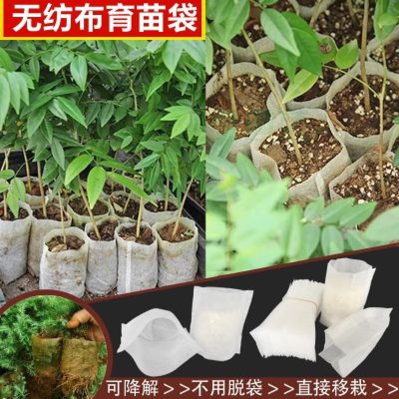 育苗袋，厂家直销，质量保证，全国发货，欢迎来电