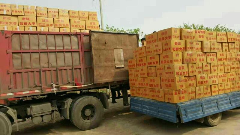 实力新疆和田大枣红枣厂家直销一手货源大量现货真实报价