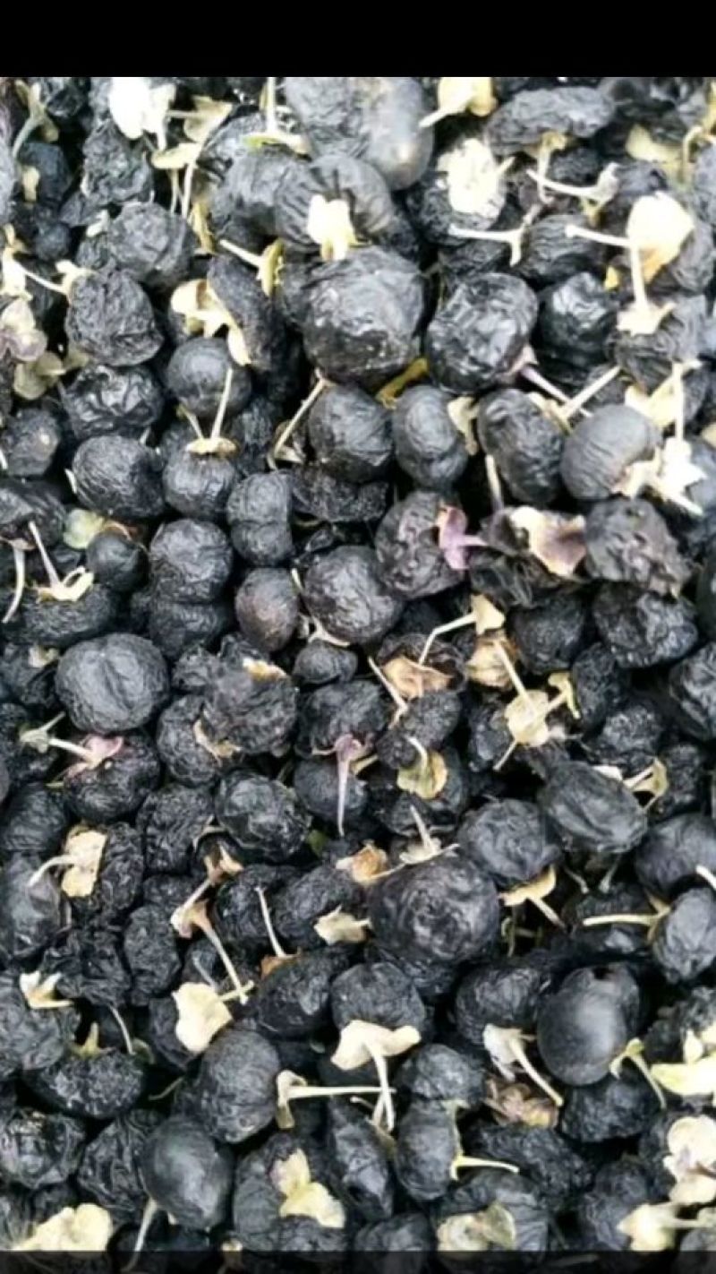 黑枸杞干货头茬