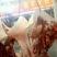 猪肥膘生肉