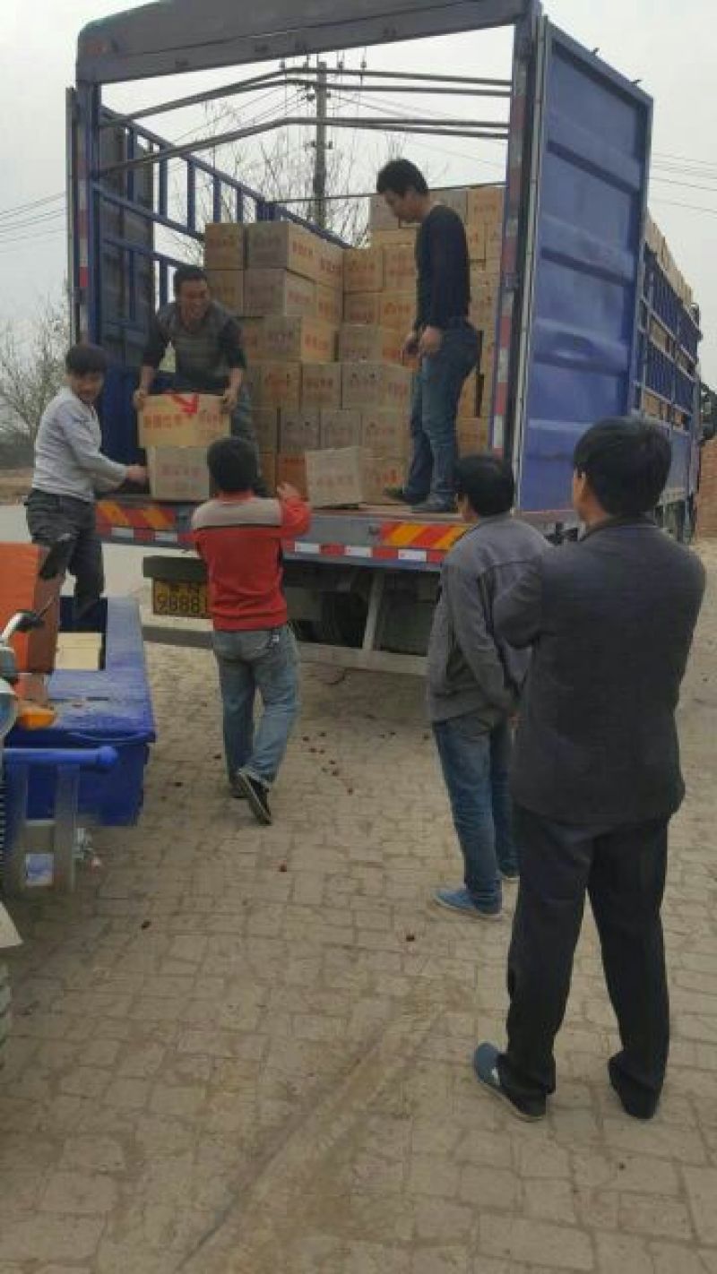 新疆和田大枣产地供应商电商拼多多对接产品品质