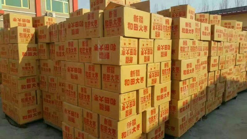 新品新疆骏枣和田大枣地摊展会电商供应红枣厂家批发可代发