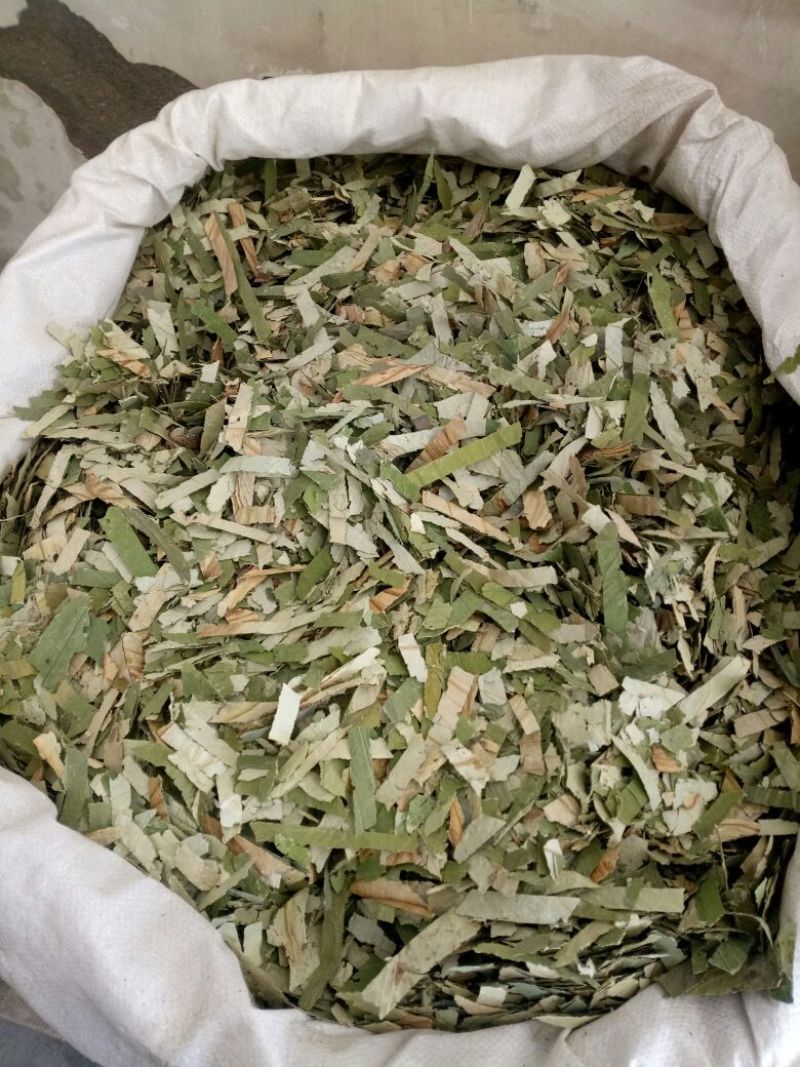 荷叶湖北干货人工种植散装2斤起包邮量大优惠