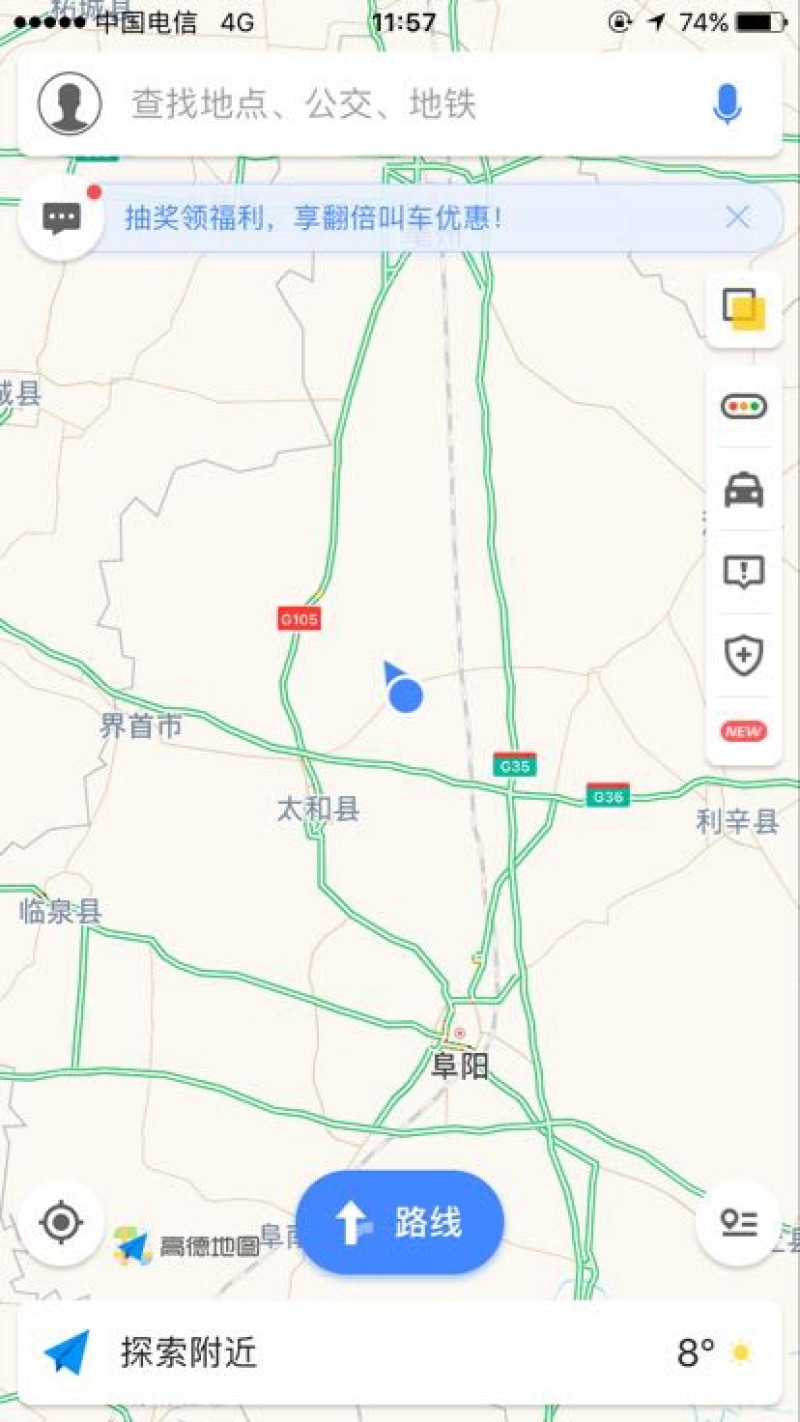 楸树3m以上太和县顶峰种植专业合作社
