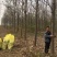楸树3m以上太和县顶峰种植专业合作社