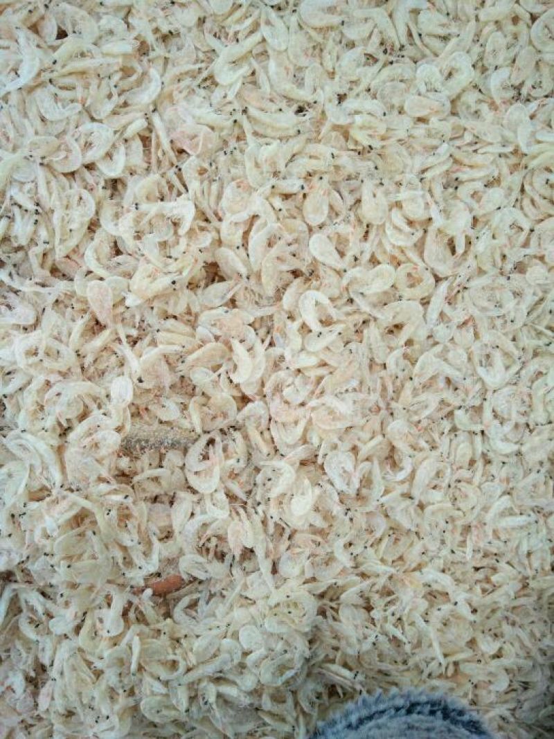 虾皮特级虾皮营养高