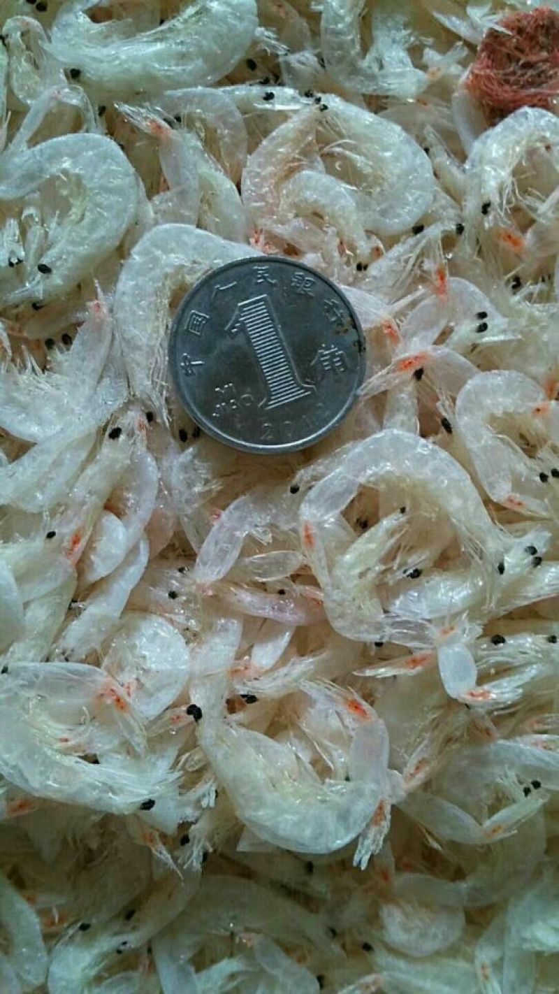 虾皮一级