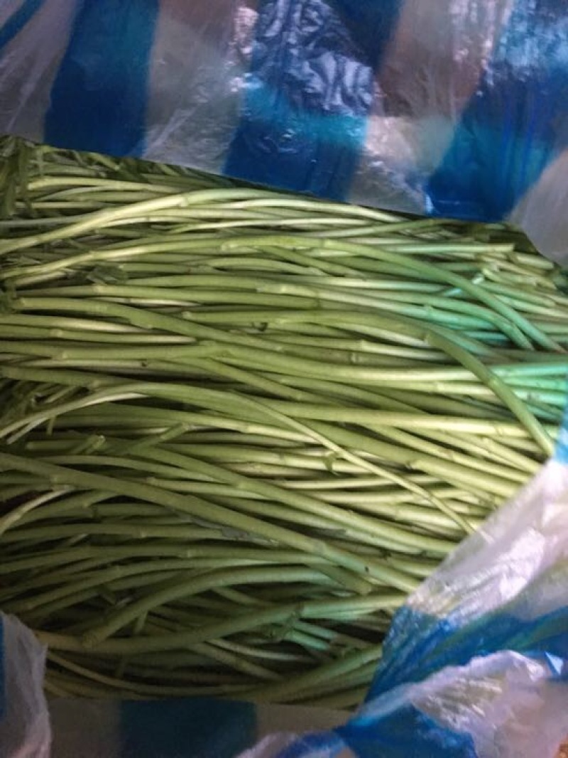 芦篙新鲜当天现货现发农家种植藜蒿