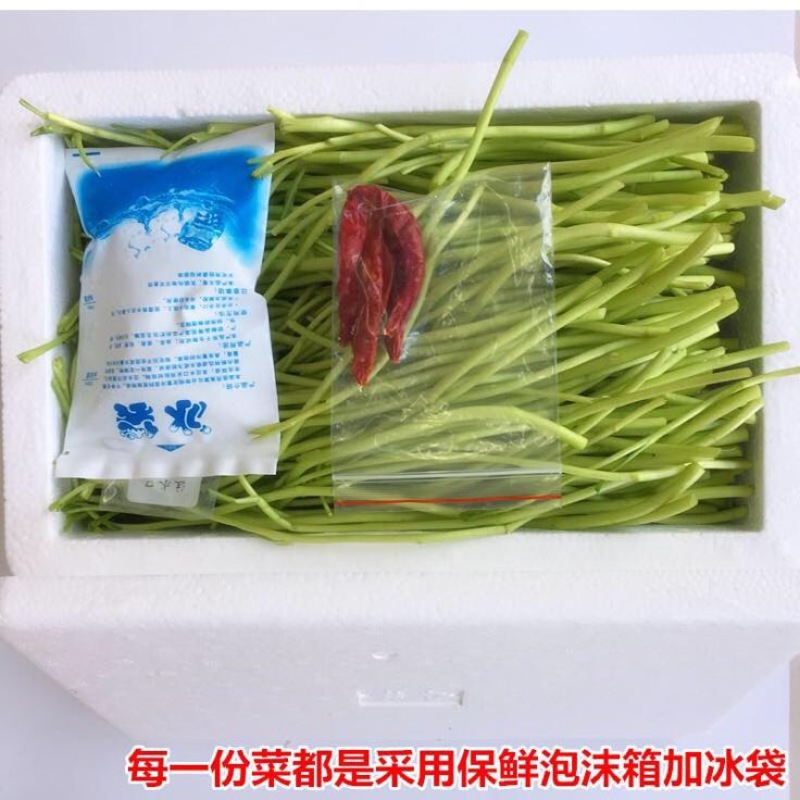 芦篙新鲜当天现货现发农家种植藜蒿