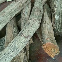 乌骨藤鸡血藤又别名血风藤