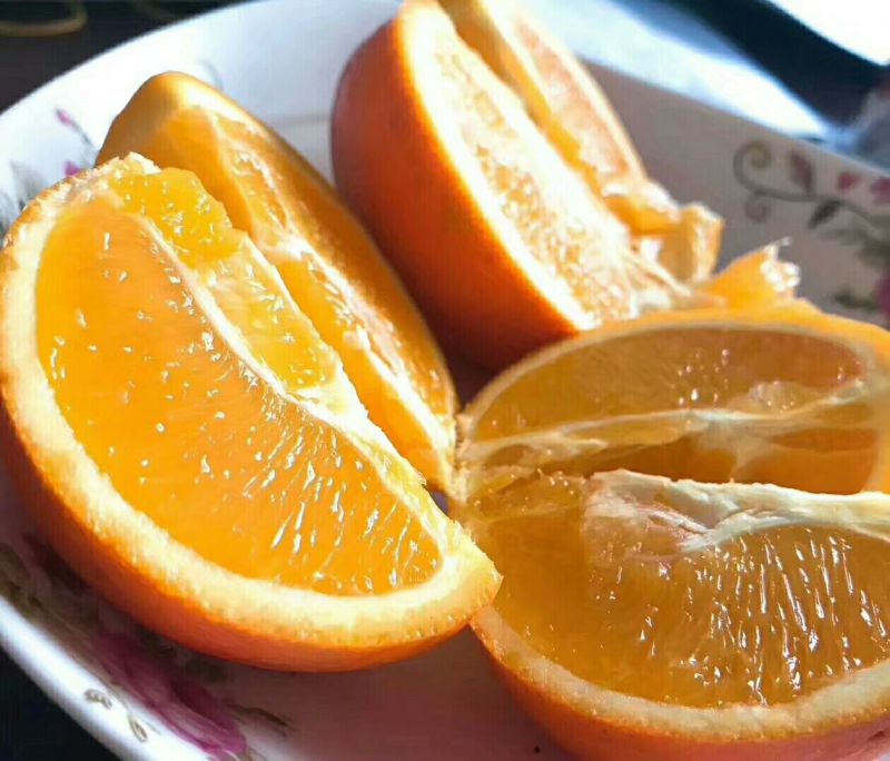 夏橙保质保量，鲜果热销欢迎新老客户前来咨询订购