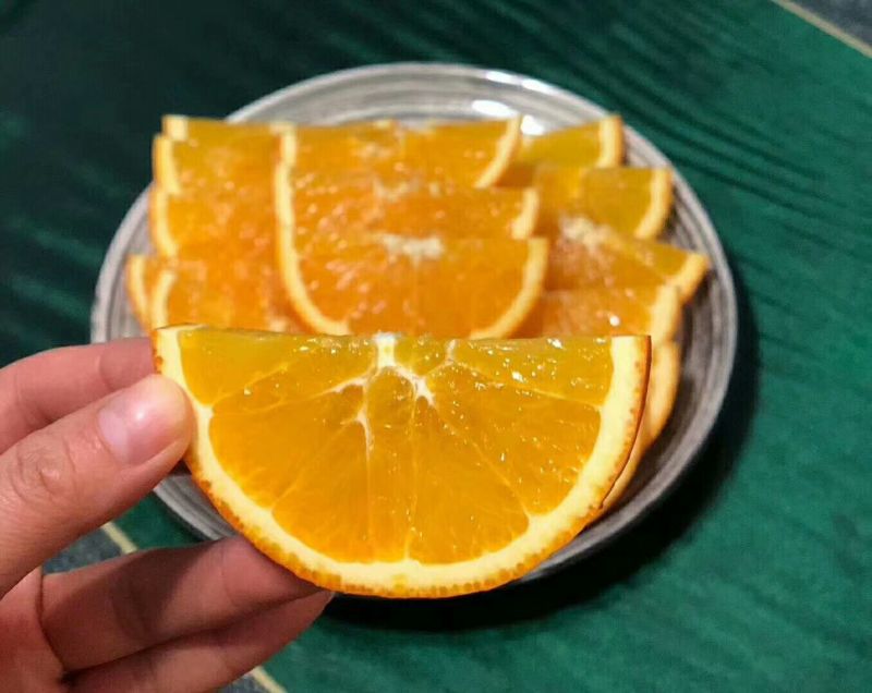 夏橙保质保量，鲜果热销欢迎新老客户前来咨询订购