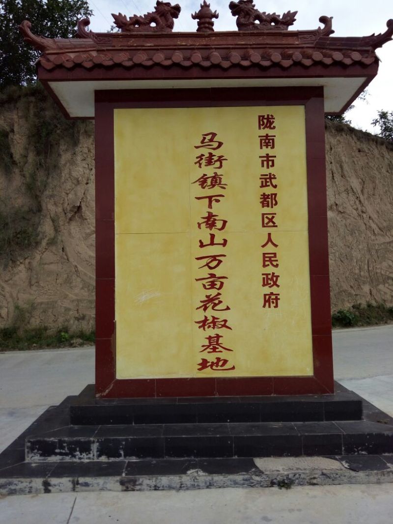 大红袍花椒特级