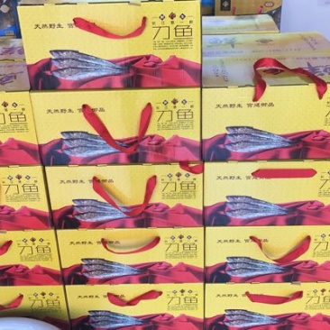 黄河刀鱼食用冰鲜鱼