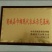 南方红豆杉4cm高度二米