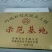 南方红豆杉4cm高度二米