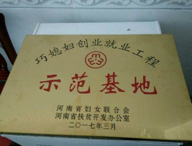 南方红豆杉4cm高度二米