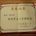 南方红豆杉4cm高度二米