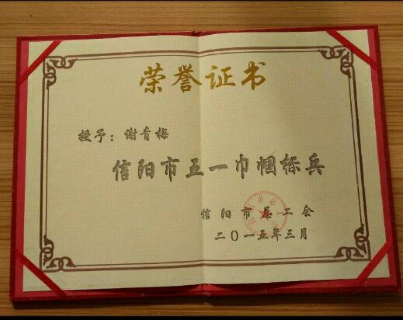 南方红豆杉4cm高度二米
