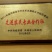 南方红豆杉4cm高度二米