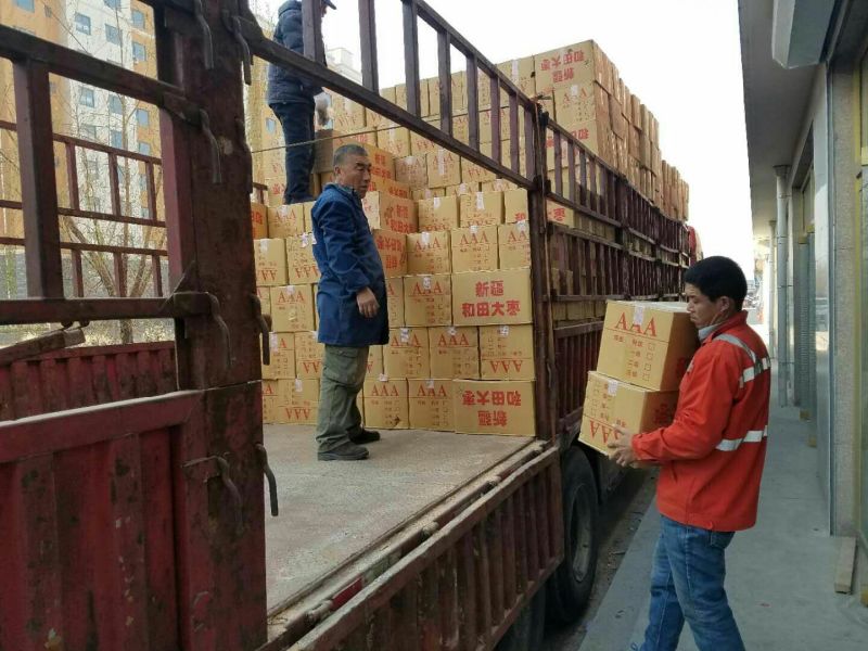网络产品新疆和田大枣厂家直供货源充足欢迎选购