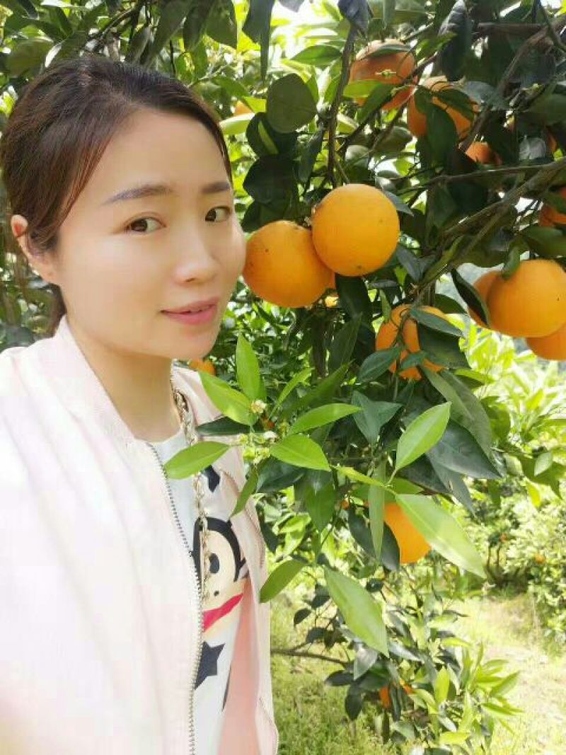 伦晚脐橙柚子芦柑自产自销看货采摘保质保量