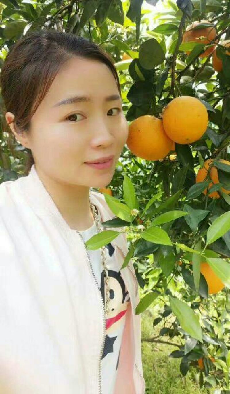 伦晚脐橙柚子芦柑自产自销看货采摘保质保量