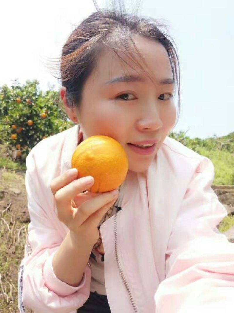 伦晚脐橙柚子芦柑自产自销看货采摘保质保量