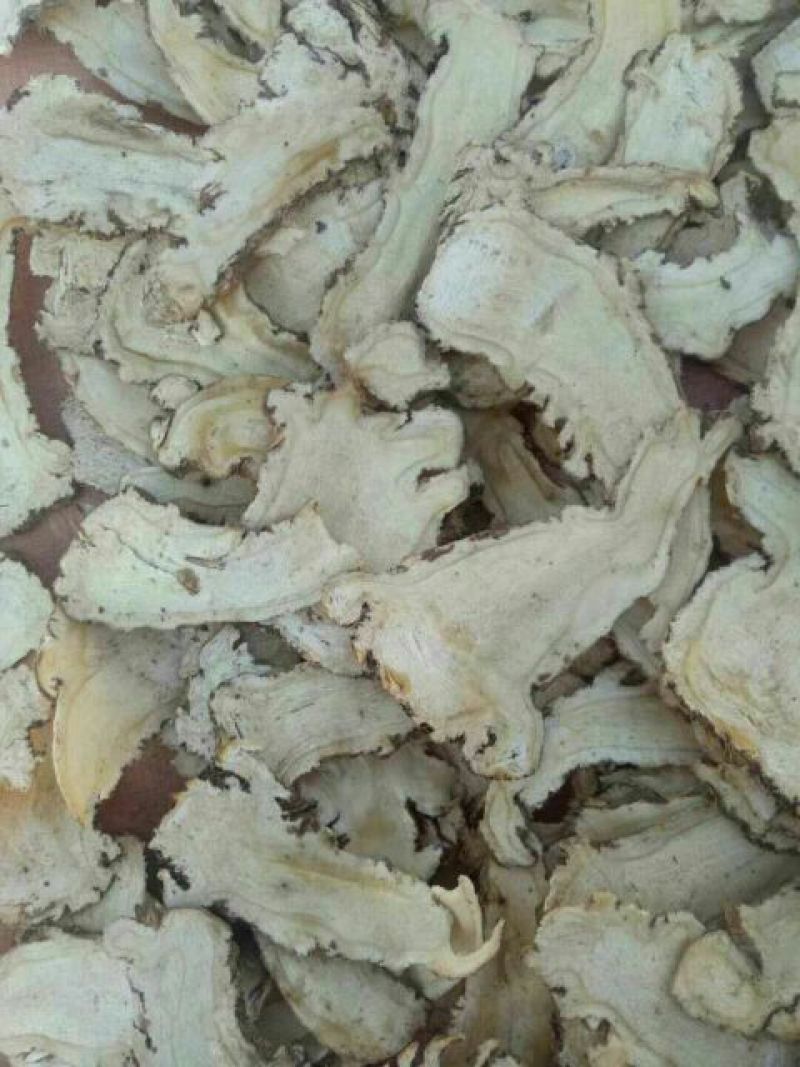 当归头片精选大片4号筛选货