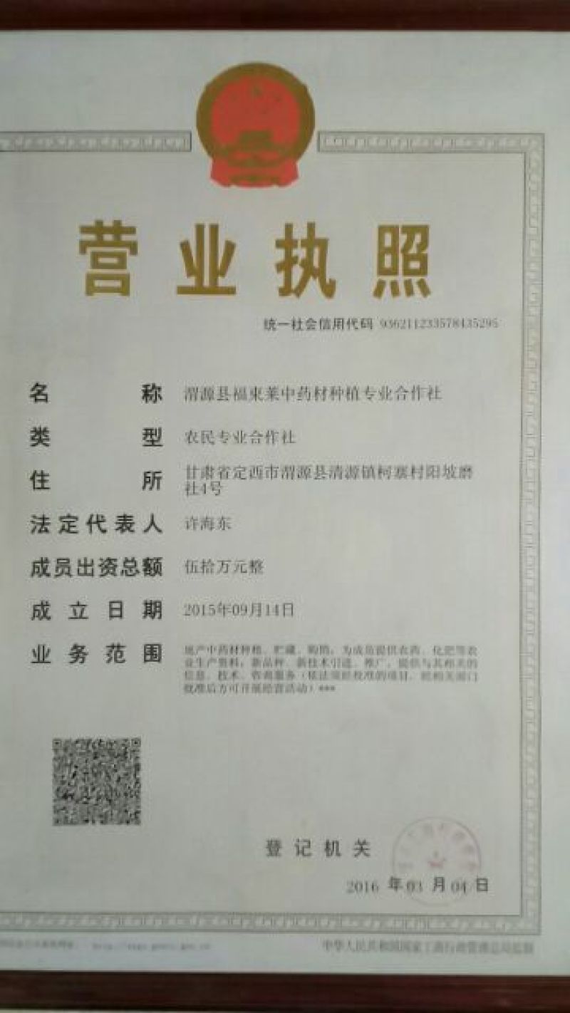 当归头片精选大片4号筛选货