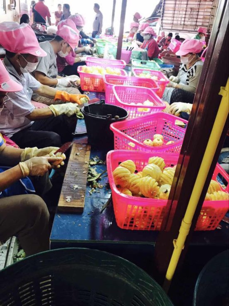 削皮小菠萝甜脆颜色黄工厂直发有优势整车零担发各地