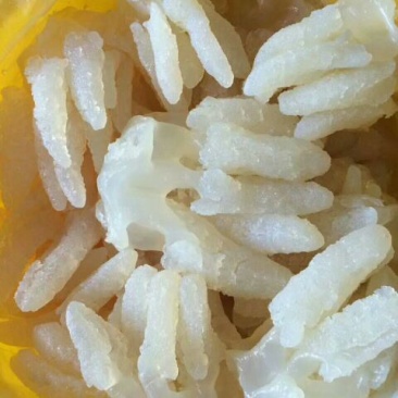 海蜇食用鲜活