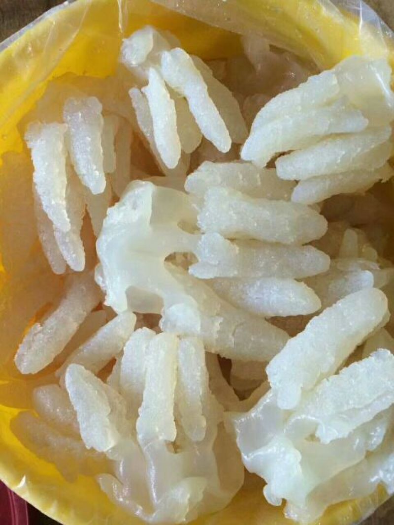海蜇食用鲜活