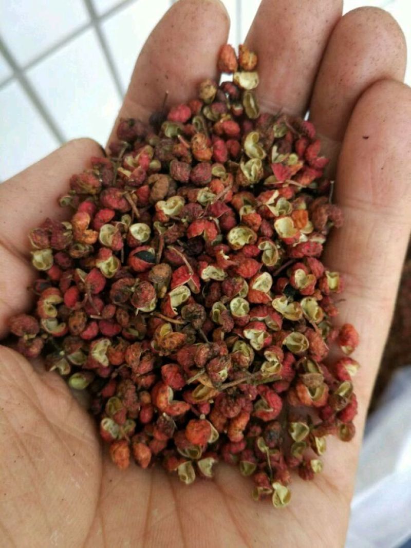 花椒一级干