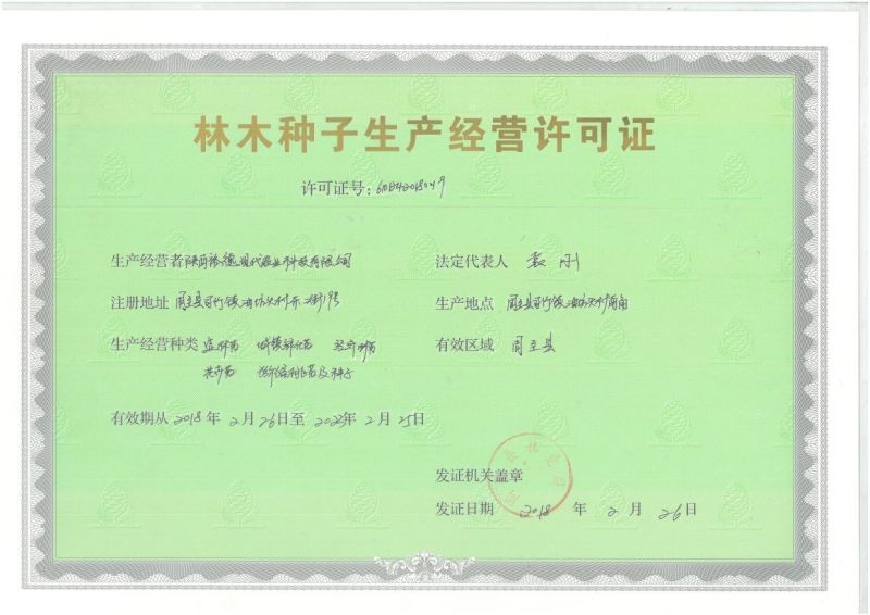 猕猴桃种子猕猴桃籽种植出芽率高