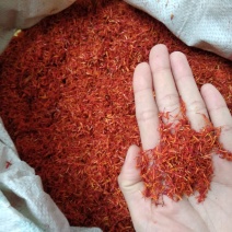 红花统货中药用红花